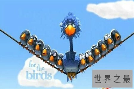 【图】笨鸟先飞的故事你听过吗 这个成语意思你知道吗