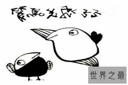 【图】笨鸟先飞的故事你听过吗 这个成语意思你知道吗