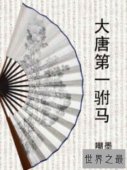 【图】穿越巧成大唐第一驸马，唐朝故事知多少