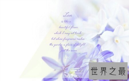 【图】动态壁纸大全是现现在十分受欢迎的一件货色 很