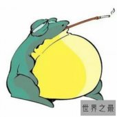 【图】癞蛤蟆身上都是有剧毒的 有人因此还为之丧命