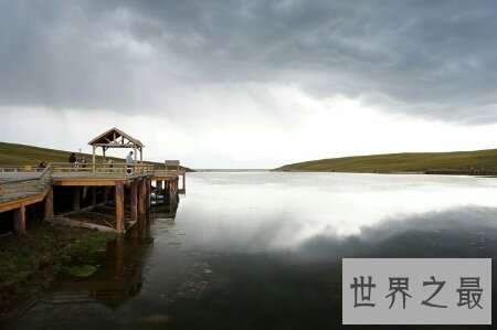 【图】癞蛤蟆身上都是有剧毒的 有人因此还为之丧命