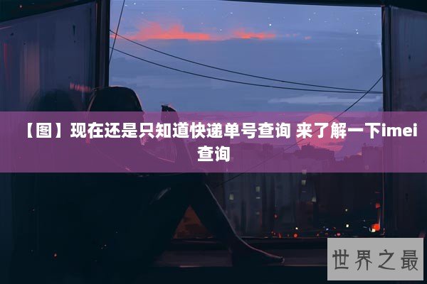 【图】现在还是只知道快递单号查询 来了解一下imei查询