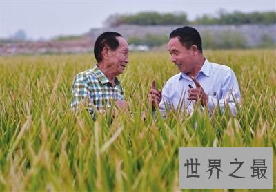 【图】袁隆平杂交水稻之父他的所做造福了社会