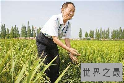 【图】袁隆平杂交水稻之父他的所做造福了社会