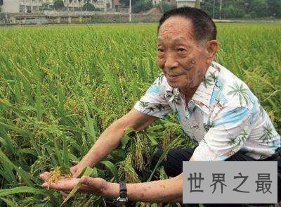 【图】袁隆平杂交水稻之父他的所做造福了社会