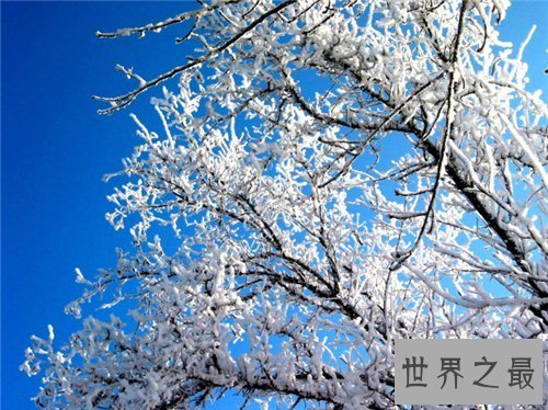 【图】南国之春歌词原唱日文歌词引见 两大版本歌词介