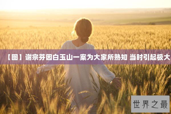 【图】谢宗芬因白玉山一案为大家所熟知 当时引起极大