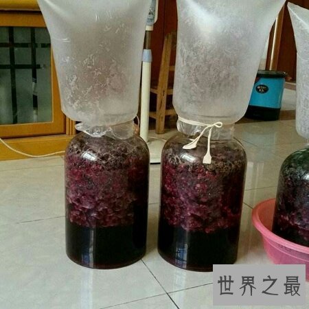 【图】青睐喝葡萄酒 但你会自酿葡萄酒吗 自酿的才好喝