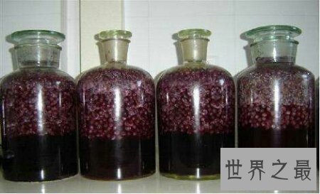 【图】青睐喝葡萄酒 但你会自酿葡萄酒吗 自酿的才好喝