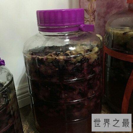 【图】青睐喝葡萄酒 但你会自酿葡萄酒吗 自酿的才好喝