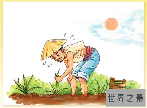 【图】拔苗滋长的故事引见 拔苗滋长的含义以及造句