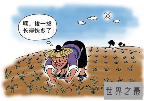 【图】拔苗滋长的故事引见 拔苗滋长的含义以及造句