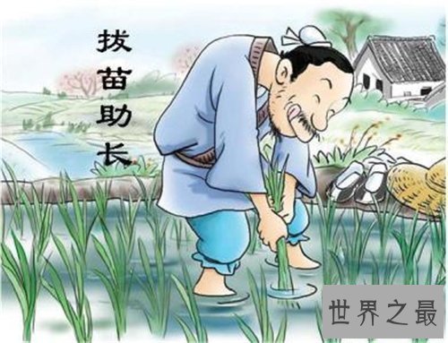 【图】拔苗滋长的故事引见 拔苗滋长的含义以及造句