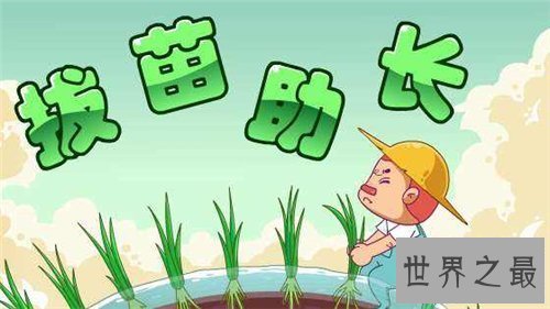 【图】拔苗滋长的故事引见 拔苗滋长的含义以及造句