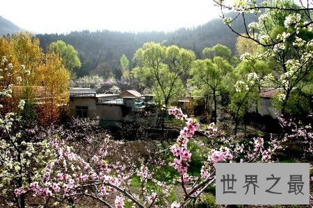 【图】花枝招展是描画女孩子的 那花枝招展的意思又是