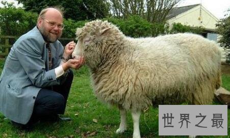 【图】克隆羊最早的技术如今克隆技术发展如何