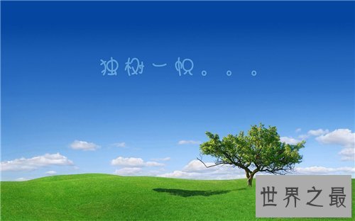 【图】自成一家是什么意思 成语自成一家造句