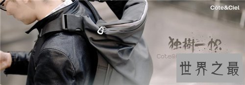 【图】自成一家是什么意思 成语自成一家造句