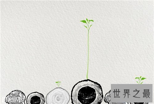 【图】自成一家是什么意思 成语自成一家造句