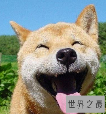 【图】 对于不禁自主的意思 你能否可以真的理解