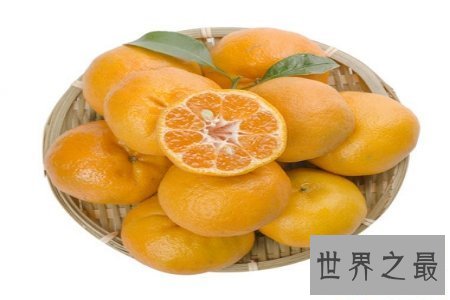 【图】芦柑是一种营养价值非常高的水果 对人体有着极