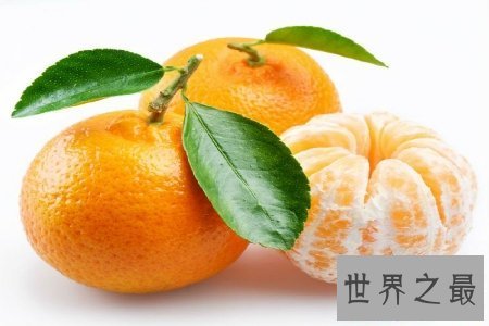 【图】芦柑是一种营养价值非常高的水果 对人体有着极