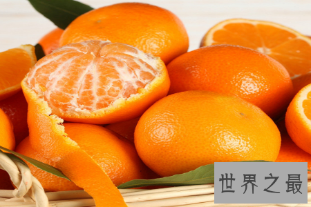 【图】芦柑是一种营养价值非常高的水果 对人体有着极