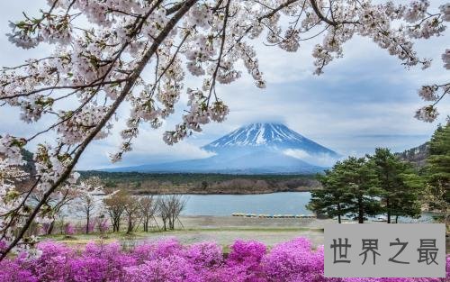 【图】失眠怎样办，兴许失眠仅仅只是由于夏日拂过的