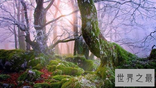 【图】失眠怎样办，兴许失眠仅仅只是由于夏日拂过的