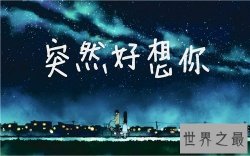 【图】突然好想你歌词简介介绍 歌词背景感动无数人