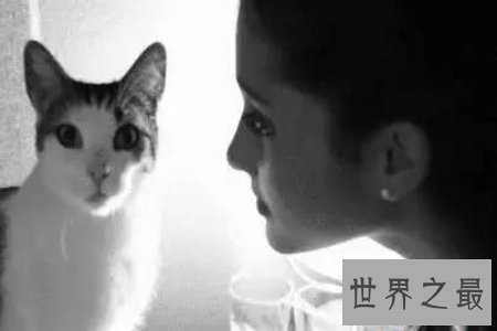 【图】柔弱是失败的墓志铭 做人不要太柔弱