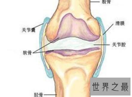 【图】骨膜炎要怎样治疗你知道日常应该怎样护理么