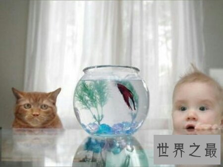 【图】想入非非的意思是什么呢 想入非非是褒义吗