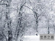 【图】梦见下大雪是什么意思 不同身份的人梦见下大雪