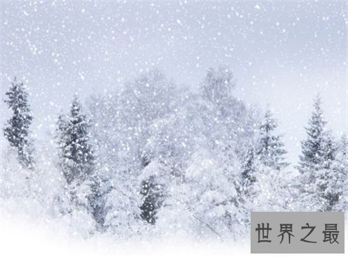 【图】梦见下大雪是什么意思 不同身份的人梦见下大雪