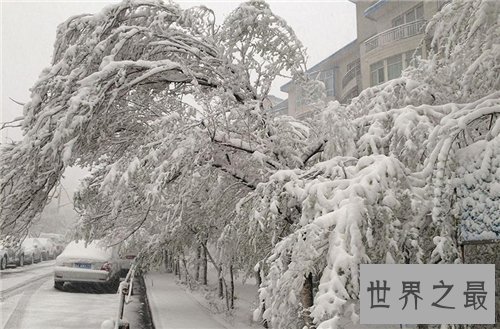 【图】梦见下大雪是什么意思 不同身份的人梦见下大雪