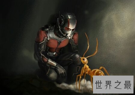 【图】你青睐看科幻动作片吗 那你了解蚁人 电影吗