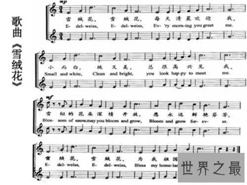 【图】雪绒花英文版来历引见 创作背景竟是切实故事