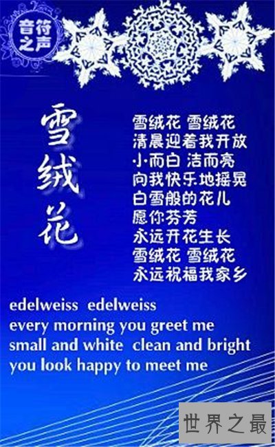 【图】雪绒花英文版来历引见 创作背景竟是切实故事