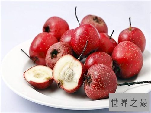 【图】硬化血管的食物及效用 想要寿命长必须先预防