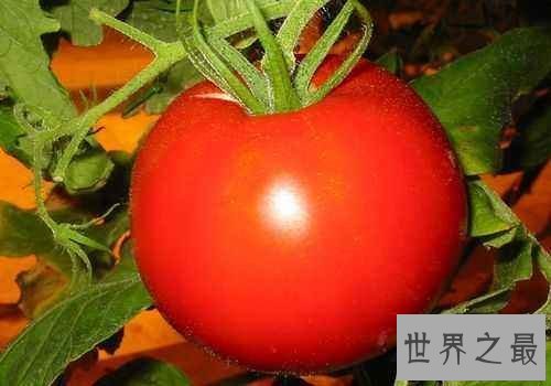 【图】硬化血管的食物及效用 想要寿命长必须先预防