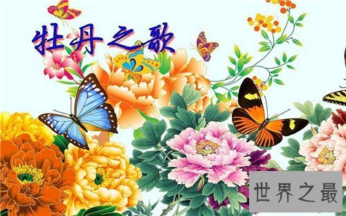 【图】牡丹之歌创作背景引见 五环之歌的鼻祖就是它