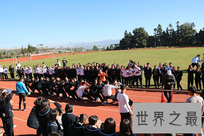 【图】最有效拔河较量技巧揭秘 学会了这些还怕不赢？