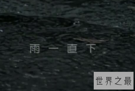 【图】雨不断下 氛围不算融洽 张宇成名专辑