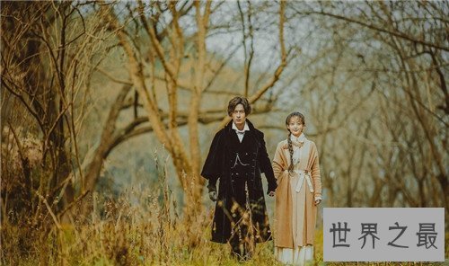 【图】半妖倾城电视剧剧情引见 会集无数小鲜肉引热议