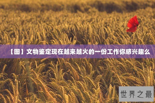 【图】文物鉴定现在越来越火的一份工作你感兴趣么