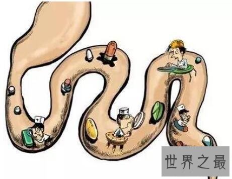 【图】五脏六腑图你知道它们的详细地位么你意识么