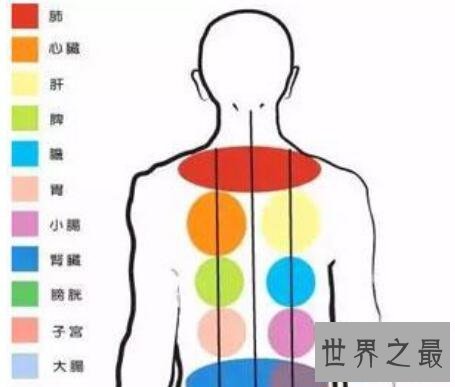 【图】五脏六腑图你知道它们的详细地位么你意识么