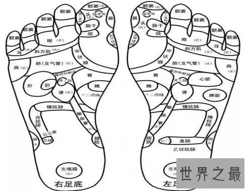 【图】五脏六腑图你知道它们的详细地位么你意识么